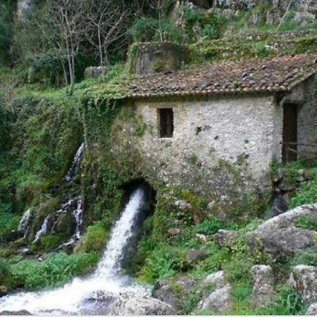 B&B Il Melograno Tortorella Ngoại thất bức ảnh