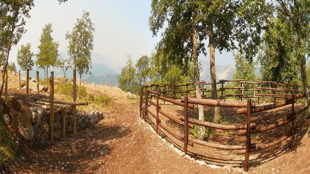 B&B Il Melograno Tortorella Ngoại thất bức ảnh