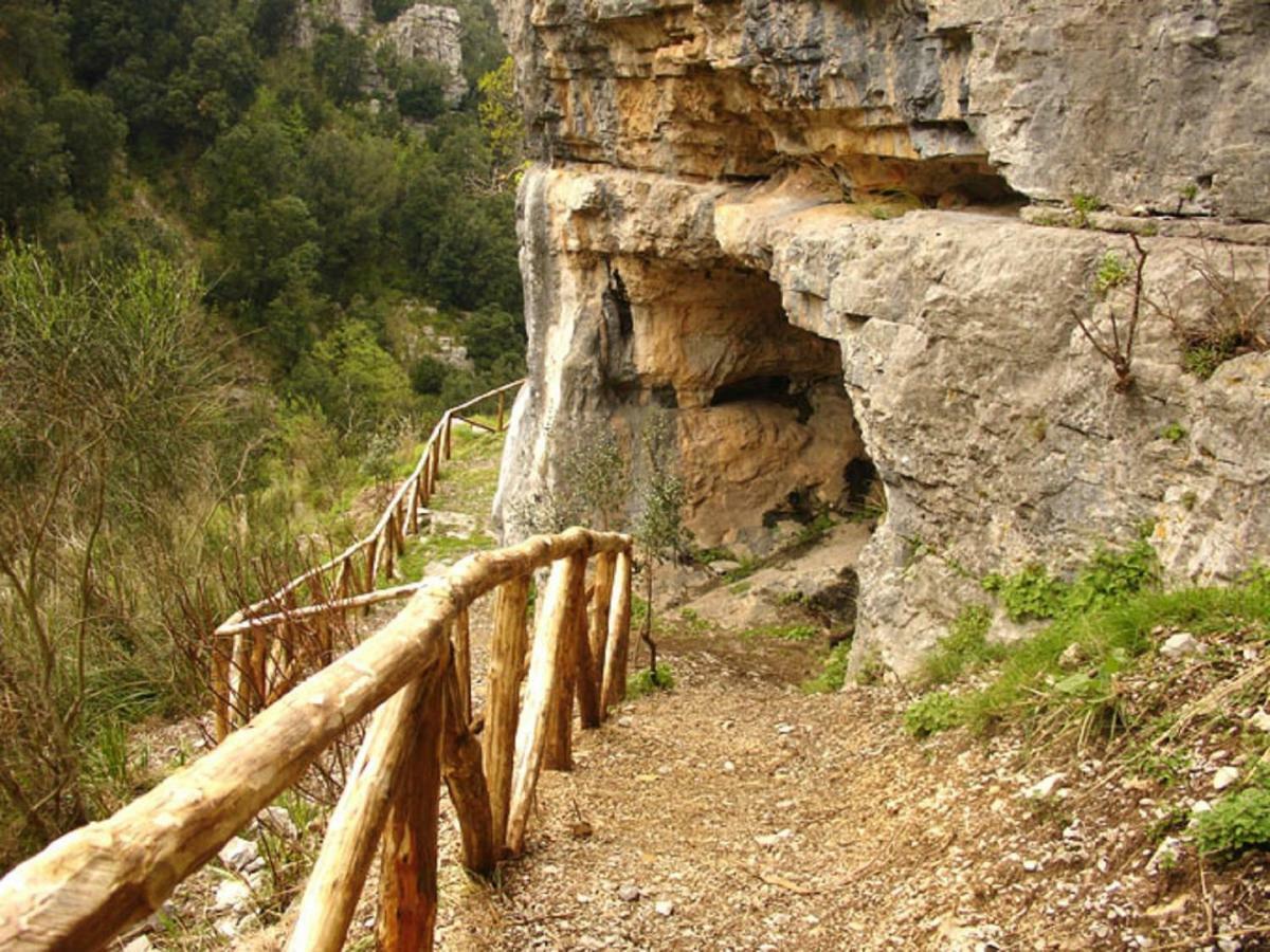 B&B Il Melograno Tortorella Ngoại thất bức ảnh