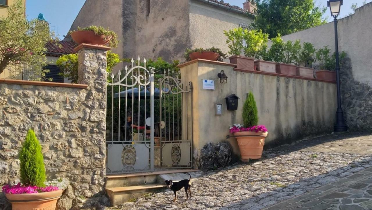 B&B Il Melograno Tortorella Ngoại thất bức ảnh